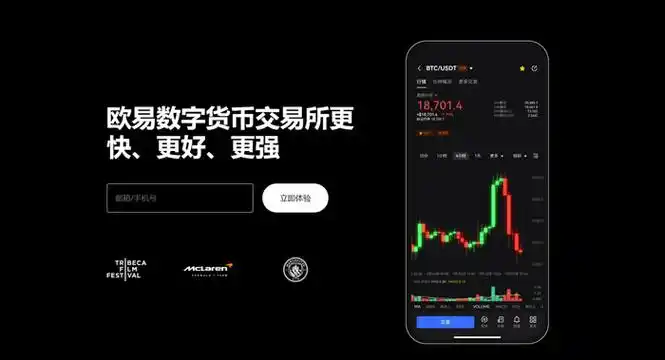 OKpay钱包平台展示图